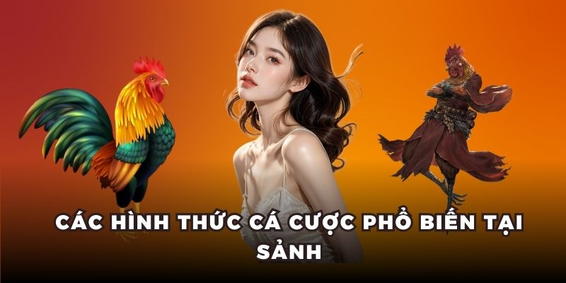 Các hình thức cá cược phổ biến tại sảnh