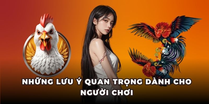 Những lưu ý đặc biệt khi tham gia đá gà Hello88