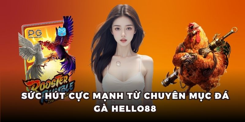 Sức hút cực mạnh từ chuyên mục đá gà Hello88