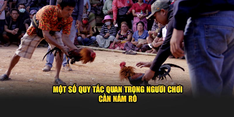 Một số quy tắc quan trọng người chơi cần nắm rõ